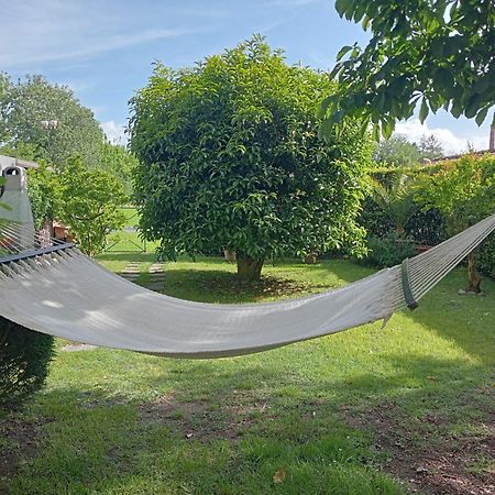 Villa Ippocastano Lucca Bagian luar foto